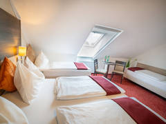 Zimmerbild 13