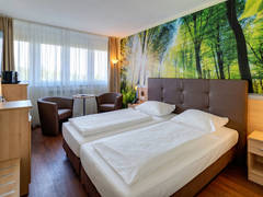 Zimmerbild 28