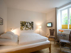 Zimmerbild 13