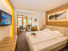 Zimmerbild 23
