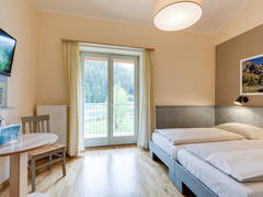 Zimmerbild 14