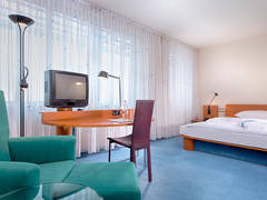 Zimmerbild 11