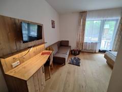 Zimmerbild 47