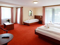 Zimmerbild 11