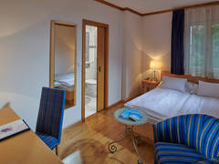 Zimmerbild 21