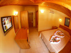 Zimmerbild 13