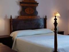 Zimmerbild 6