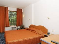 Zimmerbild 7