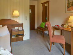 Zimmerbild 13