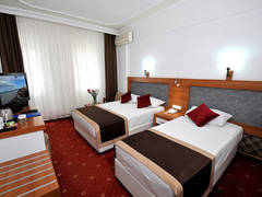 Zimmerbild 10