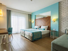 Zimmerbild 11