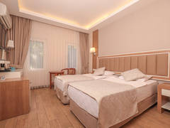 Zimmerbild 12