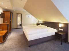 Zimmerbild 11