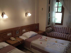 Zimmerbild 11