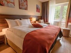 Zimmerbild 9