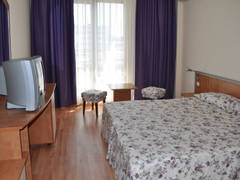 Zimmerbild 13
