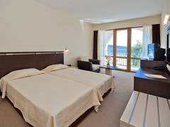 Zimmerbild 11