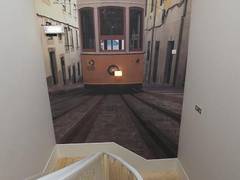 Zimmerbild 15