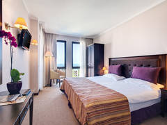 Zimmerbild 8