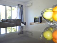 Zimmerbild 10