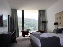Zimmerbild 11