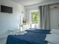 Zimmerbild 7
