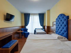 Zimmerbild 13