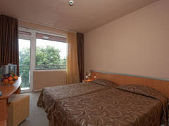 Zimmerbild 9