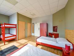 Zimmerbild 12