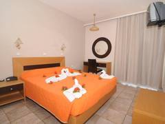 Zimmerbild 11