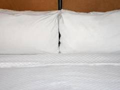 Zimmerbild 5
