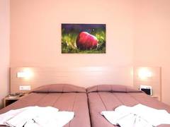 Zimmerbild 11