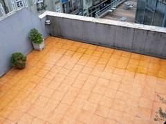 Zimmerbild 2
