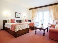 Zimmerbild 6