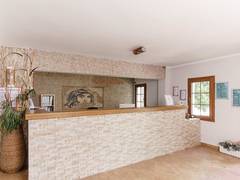 Zimmerbild 1