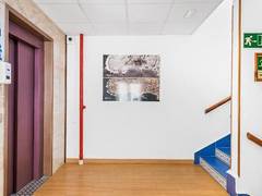 Zimmerbild 5