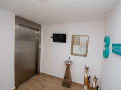 Zimmerbild 3