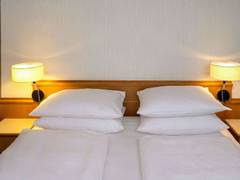 Zimmerbild 6