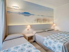 Zimmerbild 8