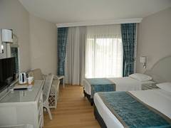 Zimmerbild 3