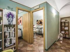 Zimmerbild 5