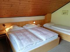 Zimmerbild 9