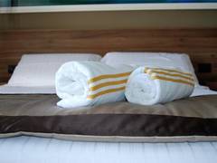 Zimmerbild 9