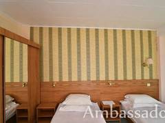 Zimmerbild 1