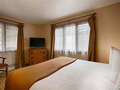 Zimmerbild 62