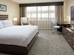 Zimmerbild 15