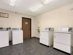 Zimmerbild 11