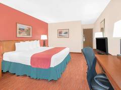 Zimmerbild 16