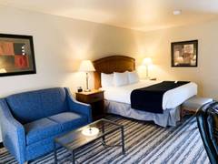 Zimmerbild 19