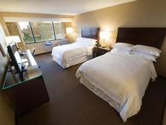 Zimmerbild 9